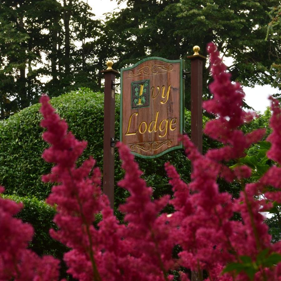 Ivy Lodge Νιούπορτ Εξωτερικό φωτογραφία